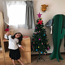 クリスマスツリー150cm/ハンティングトロフィー/sabo/IKEA/リビングのインテリア実例 - 2019-03-20 22:05:29