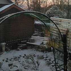 玄関/入り口/おっはようございます♪/我が家の庭の雪景色のインテリア実例 - 2016-12-12 08:40:17