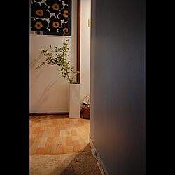 玄関/入り口/IKEA/観葉植物/北欧/marimekkoのインテリア実例 - 2015-03-28 22:56:02