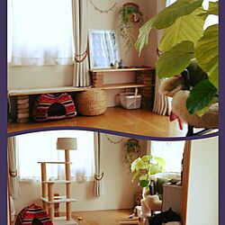 机/ニトリ/IKEA/観葉植物/猫...などのインテリア実例 - 2017-05-04 22:49:45