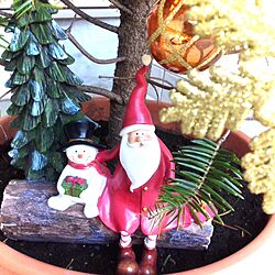 玄関/入り口/もみの木/クリスマスツリー/お値段以上ニトリ/サンタクロース...などのインテリア実例 - 2013-11-13 17:42:49