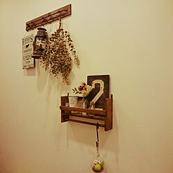 玄関/入り口/ナンバープレート/観葉植物のインテリア実例 - 2016-09-26 21:50:18