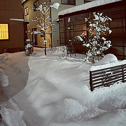 リリーちゃん寒がり/寒すぎる/晴れのち雪/夜吹雪-2℃/肌の衰え悲しきかな...などのインテリア実例 - 2023-01-28 23:33:45