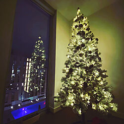 クリスマス/北欧/christmas tree/リビングのインテリア実例 - 2020-11-24 15:35:13