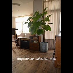 グリーン/グリーンのある暮らし/観葉植物のある部屋/木のある暮らし/ブリキ缶...などのインテリア実例 - 2017-05-23 14:57:34