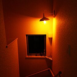 壁/天井/階段の窓/階段の照明のインテリア実例 - 2016-12-21 02:03:37