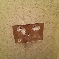 バス/トイレ/トイレの壁/壁紙カット/石膏ボードのインテリア実例 - 2017-04-07 20:59:53