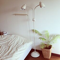 ベッド周り/植物/照明のインテリア実例 - 2012-10-22 14:05:45