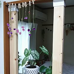 部屋全体/観葉植物　/ハンドメイド❤/飲み仲間♥/いつもいいね！ありがとうございます♪...などのインテリア実例 - 2016-10-17 16:34:34