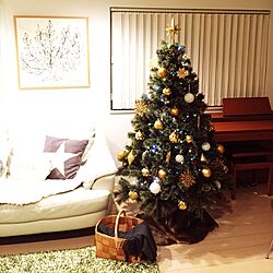 リビング/ニトリのフェイクファー/IKEA クリスマスオーナメント/もみの木のかご/アンリ・マティス 「低木」...などのインテリア実例 - 2016-11-14 21:18:58