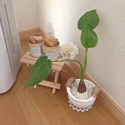 リビング/植物のインテリア実例 - 2013-08-13 13:02:19