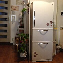 キッチン/植物/冷蔵庫のインテリア実例 - 2012-12-09 13:48:19