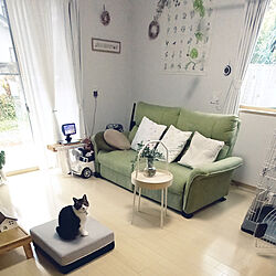 部屋全体/ニトリのソファ☆/IKEA♡/ねこと暮らす。/クッショントランポリン♡...などのインテリア実例 - 2022-04-29 13:36:29