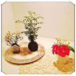 玄関/入り口/花瓶/フラワーベース/植物/飾り...などのインテリア実例 - 2013-11-15 22:58:16