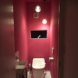 バス/トイレ/義母を気にして2階/2階トイレ/初投稿がトイレのインテリア実例 - 2016-06-13 02:50:51