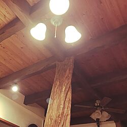壁/天井のインテリア実例 - 2017-05-26 22:57:21