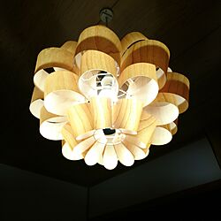 壁/天井/照明のインテリア実例 - 2017-06-30 18:45:57