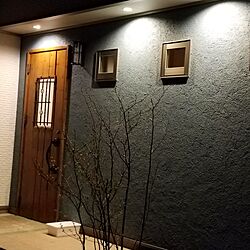 玄関/入り口/シンボルツリー/ブルーグレーの壁/北欧/玄関ドア...などのインテリア実例 - 2017-06-17 22:11:12