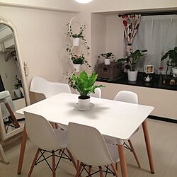 リビング/IKEA/植物/イームズチェアー/照明のインテリア実例 - 2013-06-01 21:20:34