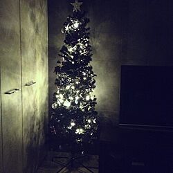 リビング/クリスマスツリーのインテリア実例 - 2013-11-23 23:12:13