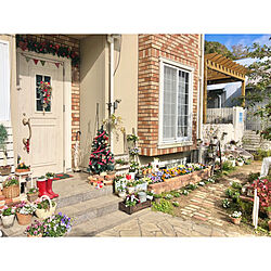クリスマス/庭のある暮らし/ガーデニング/花のある暮らし/玄関/入り口のインテリア実例 - 2021-12-05 12:10:10