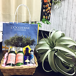 部屋全体/LOCCITANE/ロクシタン✨ギフト/息子ばっかりで(；ω；*)ｺﾞ・ｺﾞﾒﾝ/次男からのプレゼント♡...などのインテリア実例 - 2017-08-27 06:59:40