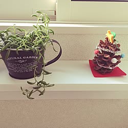 バス/トイレ/クリスマス/DIY/観葉植物のインテリア実例 - 2016-11-10 14:43:39