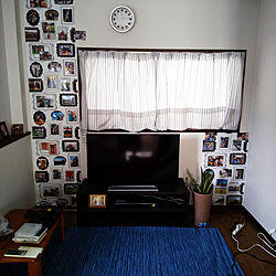 ベッド周り/家族写真/壁紙本舗さんの壁紙貼りました/夫の部屋/観葉植物のインテリア実例 - 2020-01-28 10:04:20