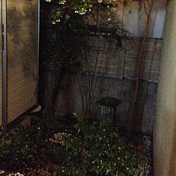玄関/入り口/中庭のインテリア実例 - 2013-05-13 19:16:30