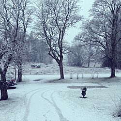 玄関/入り口/Snow/cold winter morning/Swedenのインテリア実例 - 2014-01-03 08:04:53