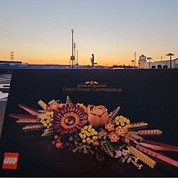 部屋全体/LEGOボタニカルコレクションのインテリア実例 - 2024-03-10 20:40:58