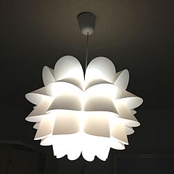 壁/天井/IKEA/照明のインテリア実例 - 2012-10-11 15:22:56