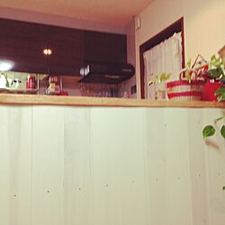 キッチン/DIY/賃貸のインテリア実例 - 2015-02-01 19:36:49