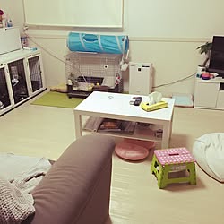 部屋全体/うさぎと暮らす/うさぎ/IKEA/一人暮らし...などのインテリア実例 - 2015-11-30 16:47:30