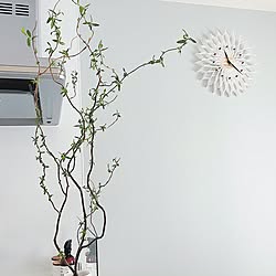 観葉植物/フォロー&いいね ありがとうございます♡/緑のある暮らし/新築一戸建て/間接照明...などのインテリア実例 - 2017-03-10 13:31:59