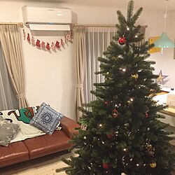 リビング/クリスマスツリー/クリスマスツリー 190cmのインテリア実例 - 2016-12-04 09:43:54