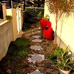 玄関/入り口/植物のインテリア実例 - 2012-10-28 15:18:11