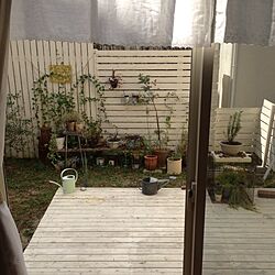 玄関/入り口/DIY/庭/ウッドデッキ/植物...などのインテリア実例 - 2013-09-30 11:30:28