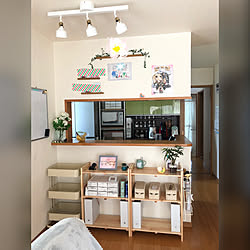 IKEA/100均/リビングのインテリア実例 - 2019-05-02 19:08:56