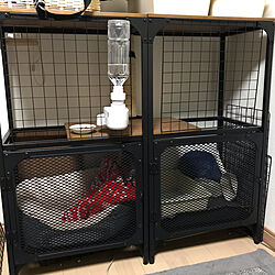 DIY/猫部/IKEA/棚のインテリア実例 - 2021-03-02 23:42:59