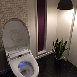 バス/トイレ/IKEA/観葉植物/照明のインテリア実例 - 2014-03-23 18:07:46