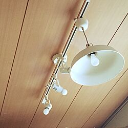 TOSHIBA/スポット照明/照明/ライディングレール/IKEAのインテリア実例 - 2015-05-12 09:16:44