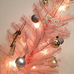 リビング/クリスマスツリーのインテリア実例 - 2013-12-17 21:34:40