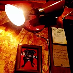 壁/天井/照明のインテリア実例 - 2012-09-09 19:26:21