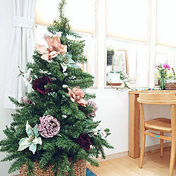 リビング/窓辺/Botanical Style/クリスマス/花のある暮らし...などのインテリア実例 - 2019-12-10 13:50:32