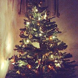 クリスマス/クリスマスツリーのインテリア実例 - 2023-12-26 20:12:08