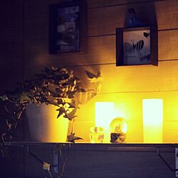 棚/DIY/植物/照明/グリーン...などのインテリア実例 - 2013-04-11 22:58:16