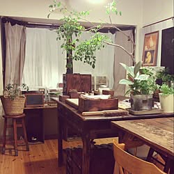 机/ブログ書いてます(///ω///)/たくさんのいいね、コメントありがとう♡/DIY/観葉植物...などのインテリア実例 - 2014-11-05 18:28:49