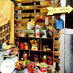 玄関/入り口/ベランダガーデン/多肉植物/サビサビ/朝のコーヒータイムのインテリア実例 - 2014-04-13 07:26:05