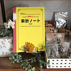 棚/いつまで続くかな？/把握はしなきゃね〜/節約する気なし/家計簿つけよう！...などのインテリア実例 - 2017-12-29 13:50:38